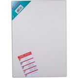 1001 Ponart Universal Seri Tuval, 50X70 cm