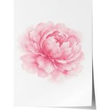 1001 Poster Pembe Şakayık Rüyası Sulu Boya Çiçek Kompozisyonu Yatak Odası Dekoru, 30 x 40 - Beyaz - Gold