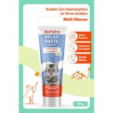 1001 Rahatlatıcı Macun 100G ve Kediler Için Günlük Strese Karşı Rahatlık Sağlayan Sakinleştiri