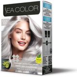 1001 Set Saç Boyası 0.01 Füme Gri