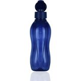 1001 Şişe Suluk 500 Ml, RF567