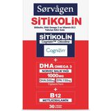 1001 Sitikolin, Dha Omega 3 Norveç Balık Yağı ve B12 (30 Kapsül) - --