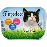 1001 TİNEKE%100 Doğal Fileli Kedi Çimi (Tüy Yumağı Önleyici) - 1 Parça