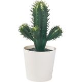 1001 Yapay Bitki, Yeşil, 6 Cm, Kaktüs, Iç/dış Mekan - Çok Renkli