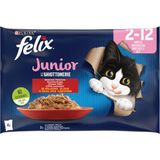1001 Yavru Kedi Avantajlı Paket (12X4= 85GR) | Yavru Kediler Için Sığır Eti ve Tavuklu Jöle Mamalar