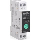 1001 Zigbee 63 Amper Akıllı Sigorta (Tuya, Smart Life, ZIGBEE2MQTT Uyumlu)