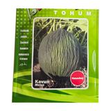 1001Naturel Hasanbey Kavun Tohumu Hasan Bey Kavunu Tohumu 10 Gram
