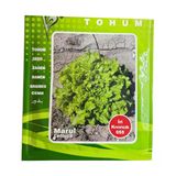 1001Naturel İri Kıvırcık Marul Tohumu İri Kıvırcık 055 İlaçlı Marul Tohumu 10 Gram