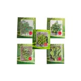 1001Naturel Yeşillik Tohum Seti 5 Li Marul Dereotu Maydanoz Roka Tere