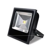 100w Led Projektör