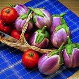 10+Italyan Rosa Bianca Alacalı Patlıcan Tohumu