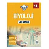 11.Sınıf Biyoloji Iceberg Soru Bankası Okyanus Yayınları
