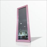 110cm Boy Pudra Pembe Çerçeveli Salon Antre Banyo Duvar Aynası