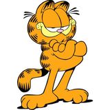 11,5 x 8 cm Garfield Kedi Cat Oto Cam Araba Telefon Laptop Sticker - Turuncu