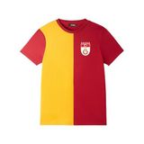 11teamsports Galatasaray İstanbul 5 Yıldızlı Tişört Çok Renkli M Erkek