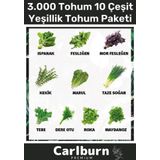 12 Ay Ekim Yapılabilen 3.000 Tohum Ayrı Ayrı Paketli 10 Çeşit Yeşillik Sürdürülebilir Tohum Paketi