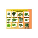 12 Çeşit Sebze Tohum Paketi - Maydanoz, Tere, Roka, Dereotu ,soğan,ıspanak ,marul,biber,Pırasa,pazı badekkarisik02yesil1