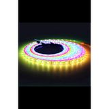 12 Volt Adreslenebilir Argb Pixel Şerit LED WS2811 Metrede 60 LED IP20 Iç Mekan (5 M)