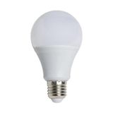 12 W E-27 Duy Beyaz Işık Led Ampul Ct-4266-b