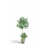 120 cm ficus yapay ağaç bambu 2 gövdeli beyaz plastik saksı svm.1368