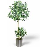 120 cm Ficus Yapay Ağaç Bambu 2 Gövdeli Metal Saksı