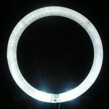 125 MM Beyaz Power Led Angel Far Angel Eye Far Halkası 2 Adet