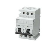125A; 2 FAZLI; 70mm OTOMAT; ANAHTARLI OTOMATİK SİGORTA; 10kA; C TİPİ; YAVAŞ KARAKTERLİ
