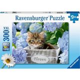128945 Kedicik Puzzle, 300 Parça, Çok Renkli