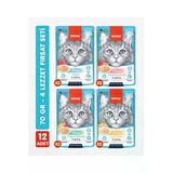 12li Karışık Yetişkin Kedi Yaş Maması 4 Lezzet Premium Kalite 12 x 70 gr