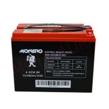12V-80 AMPER [DAR] [223*121*174 mm] E-BIKE AKÜ - MONERO
