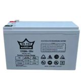 12V 9A Kuru Bakımsız Akü Ups Güç Kaynağı Akülü Sırt Motoru Aküsü Vs.