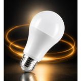 12W LED Ampul 24V AC/DC E27 Beyaz Işık Güçlü Aydınlatma