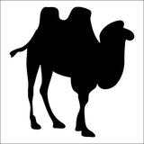 130 cm Deve Folyo Sticker
