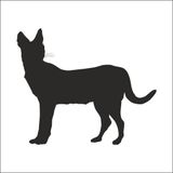 130 cm Vaşak Folyo Sticker