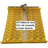 132 Bıldırcın Yumurtası Viyolü 2,5/3 Rpm Motor Dahil