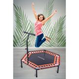 135 cm ''(54 Inç) Tutunmalı Step Trambolin
