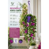 135 Cm Yapay Begonvil Çiçeği – 5 Dallı Mor Askılı Saksı | Dekoratif Balkon, Teras Ve Bahçe Çiçeği