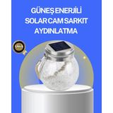 13’lü Yumuşak Kıllı Makyaj Fırça Seti – Profesyonel Kalite, Hassas Ciltlere Uygun - Lisinya