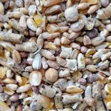 14 Çeşit Gezen Tavuk Karma Yemi 25 Kg