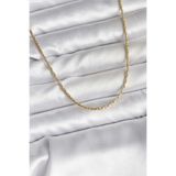 14K Gold Renk Kaplama İnce Zincir Model CM Kadın Kolye - EBJ251201W38699 BKO10741