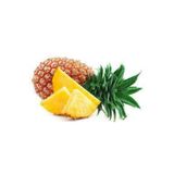 15 Adet Ananas Meyve Tohumu Ananas Tohumu Yerli Ata Tohum Surpriz Hediye Tohum