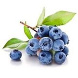 15 Adet Tohum Yaban Mersini Tohumu Blueberry Tohum