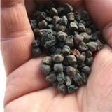 150 Adet Tohum Organik Kara Nohut Tohumu Taze Siyah Nohut Tohumu Yeni Mahsul