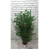 150 Cm Yogun Yaprtaklı Yapay Ağaç Benjamin Islak Doku 25x25 Şık Metal Saksı 150.benjamın