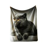 150x220 CM ORGANİK PAMUKLU TV KOLTUK YATAK ÇOCUK BATTANİYESİ HİPOALERJENİK LEKE TUTMAZ KEDİ KÜLRENK