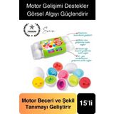 15'li Geometrik Yumurta Eşleme Oyunu Motor Gelişim Görsel Algı Şekilli Eğitici Öğretici Oyuncak