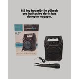 15W Güçlü Ses Çıkışlı Bluetooth Hoparlör Fm Radyo ve Mikrofon Destekli - Lisinya