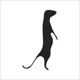 160 cm Gelincik Folyo Sticker