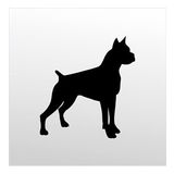 160 cm Pitbull Folyo Sticker