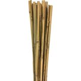 163702 Bambu Destek Çubuğu 10'lu - 6-8 mm x 60 cm